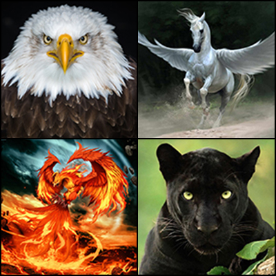 Animal de poder